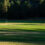 Aktuellt Ingarö Golf Academy